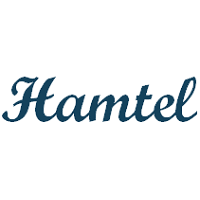 Hamtel Services recrute Chasseur de Tête