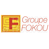 Groupe Fokou recrute Directeur Général Aciéries et Coulée Continue