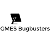 Gmes Bugusters recrute Administrateur Système / Virtualisation