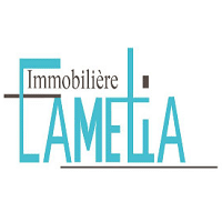 Immobilière Camelia recrute Commercial (e)