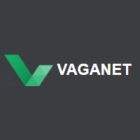 Vaganet recrute Consultant / Développeur .Net – France