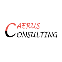 caerus consulting