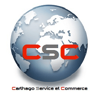 Carthago Servise et Commerce recrute Assistante