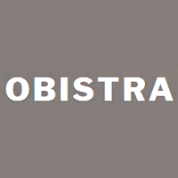 Obistra recrute Développeur Web WordPress / Prestashop / PHP