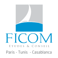 Ficom Conseil recrute Consultant