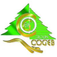 Groupe Cogeb recrute Directeur Administratif et Financier