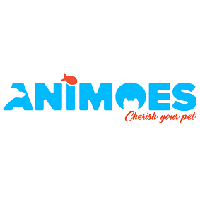 Animoes recrute Assistante Marketing et Communication