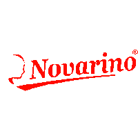 Novarino Tunisie recrute Designer Graphique