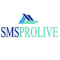 SMSProlive recrute Traffic Manager