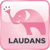 Laudans recrute des Rédacteurs Web – Télétravail – France