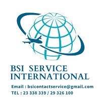 BSI Service International recrute Plusieurs Profils pour travailler à l’étranger