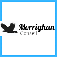 Morrighan Conseil offre Stage en Télétravail Chargé de Sourcing
