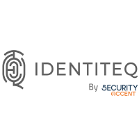Security Accent is hiring Business Data Analyst