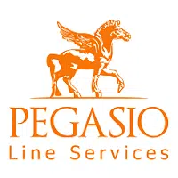 Pegasio International recrute Intégrateur