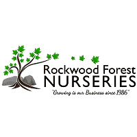 rockwood-forest