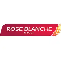 Rose Blanche Group recrute Analyste Fonctionnel