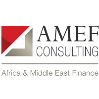 amef-consulting