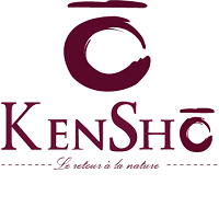 Kensho recrute Webmaster