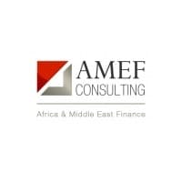 Amef Consulting recrute Consultant en Finance Inclusive