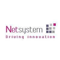 Netsystem Group recrute Commerciale