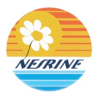 Nesrine Hotel recrute Dj